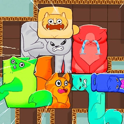 喵咪挤一挤先行服